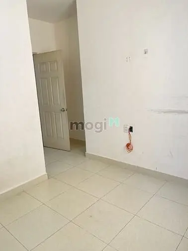 6065107 ảnh đại diện 1