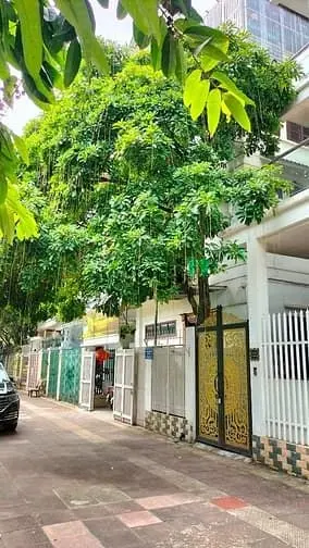 6064921 ảnh đại diện 1