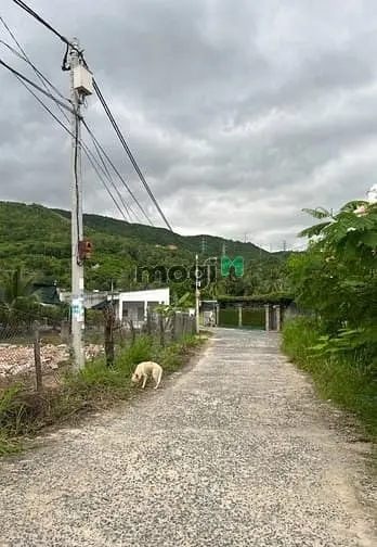 🏝️ Bán Đất Nha Trang Vĩnh Lương – Vị Trí Vàng Cho Đầu Tư Và An Cư! 🏡