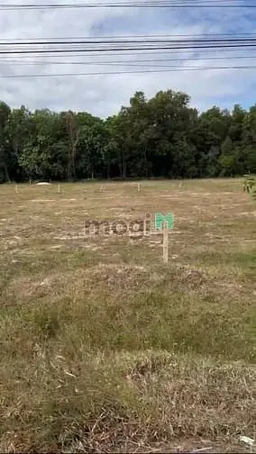 Bán Đất Mặt Tiền Đường Đt795, Xã Tân Thành, Tân Châu Vị Trí Đẹp, Giá Đ