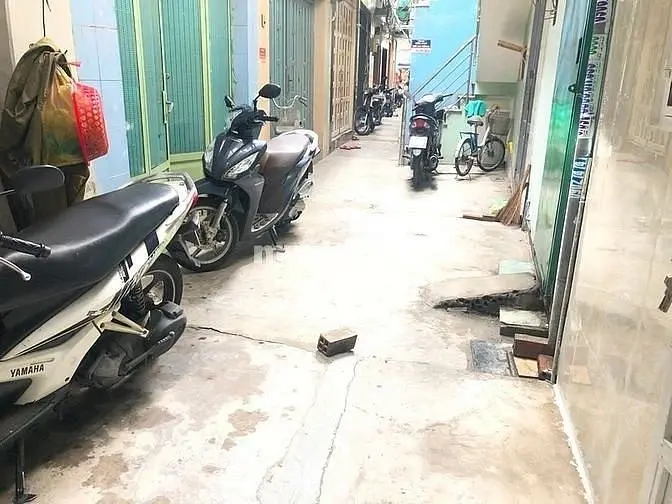 6065304 ảnh đại diện 1