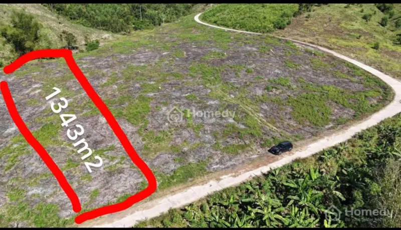 6065220 ảnh đại diện 1