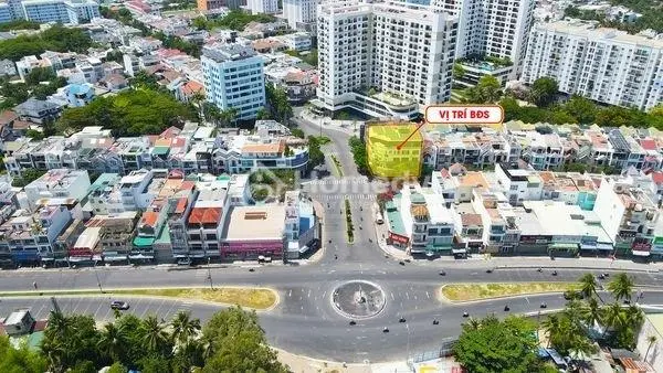 6065400 ảnh đại diện 1