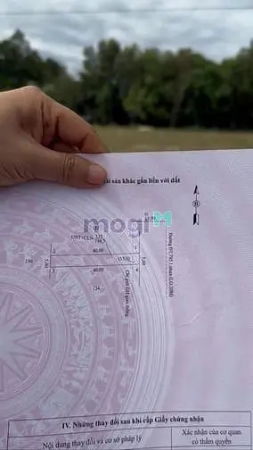 Bán Đất Mặt Tiền Đường Đt795, Xã Tân Thành, Tân Châu Vị Trí Đẹp, Giá Đ