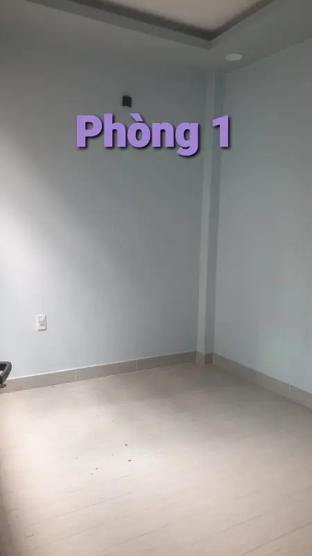 Chính Chủ Cho Thuê Nhà Nguyên Căn Hẻm 3 Gác Quận 10