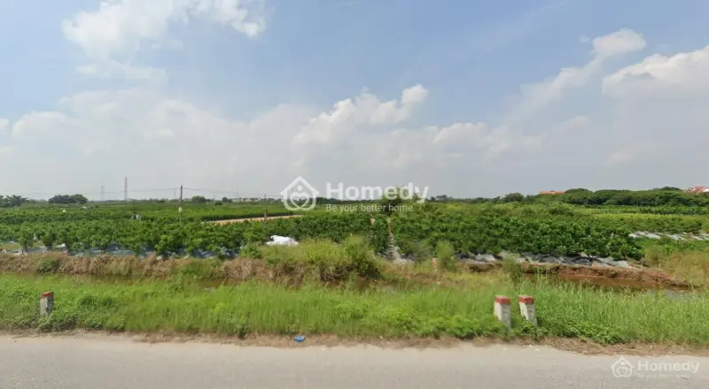 6065383 ảnh đại diện 1
