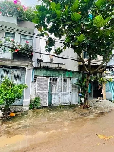 6064923 ảnh đại diện 1