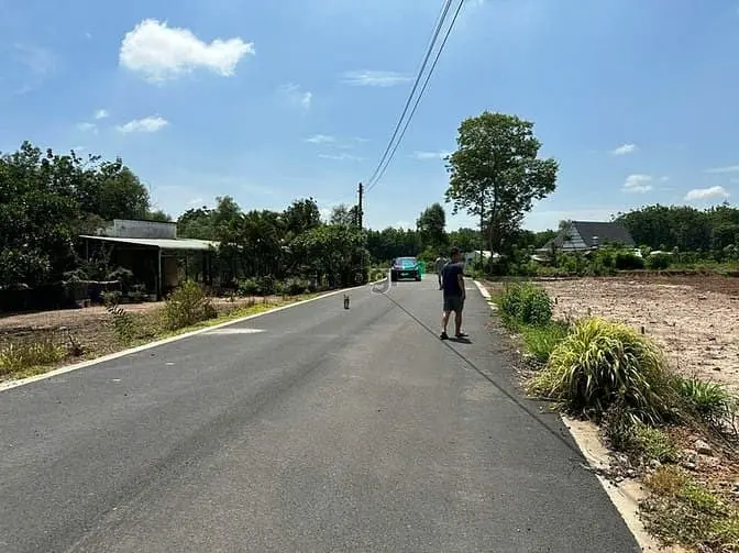 6065236 ảnh đại diện 1