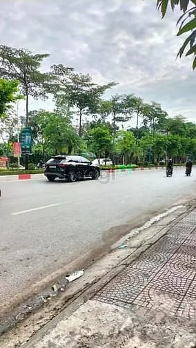 6065060 ảnh đại diện 1