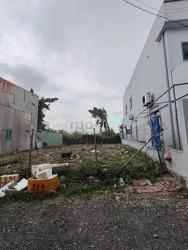 6065133 ảnh đại diện 1