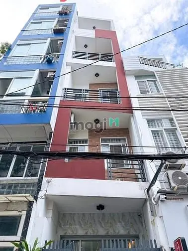 6065007 ảnh đại diện 1