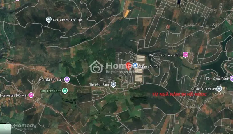 6065384 ảnh đại diện 1