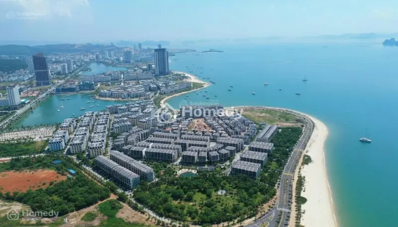 6065387 ảnh đại diện 1