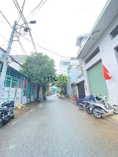 6065154 ảnh đại diện 1