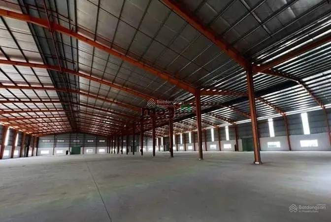 6065416 ảnh đại diện 1