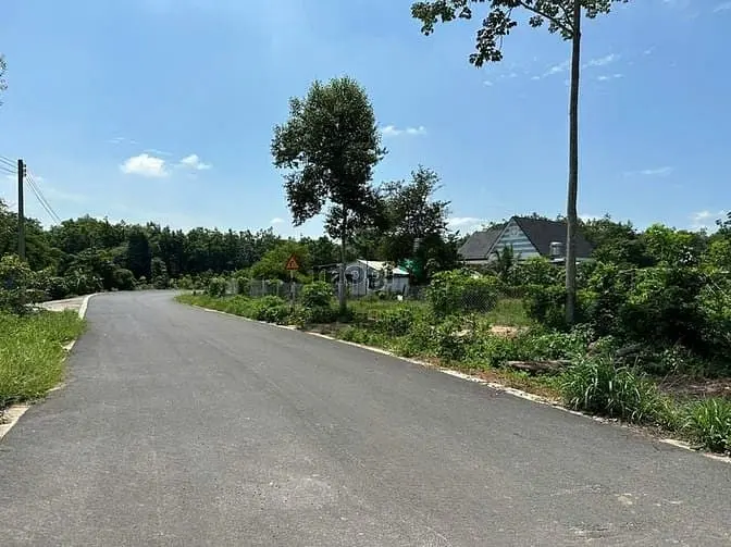 Bán Đất Thổ Cư Long Tân Dầu Tiếng 249M Đường Nhựa 6M, Sổ Riêng, Chỉ 5