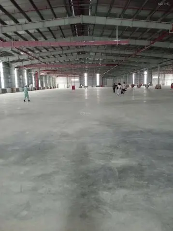 6065171 ảnh đại diện 1