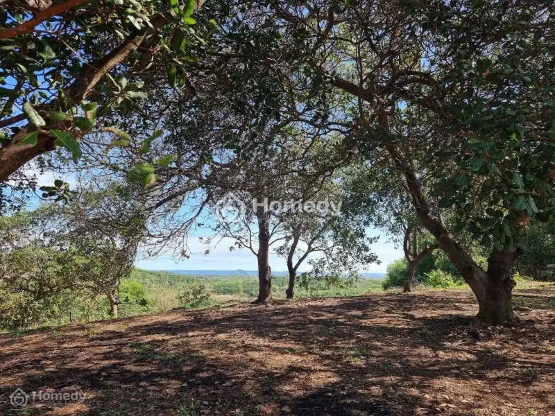 Chủ Gửi Đất Vườn 1516M2 Chỉ 800Tr – Gần Hồ Trị An, Đồng Nai