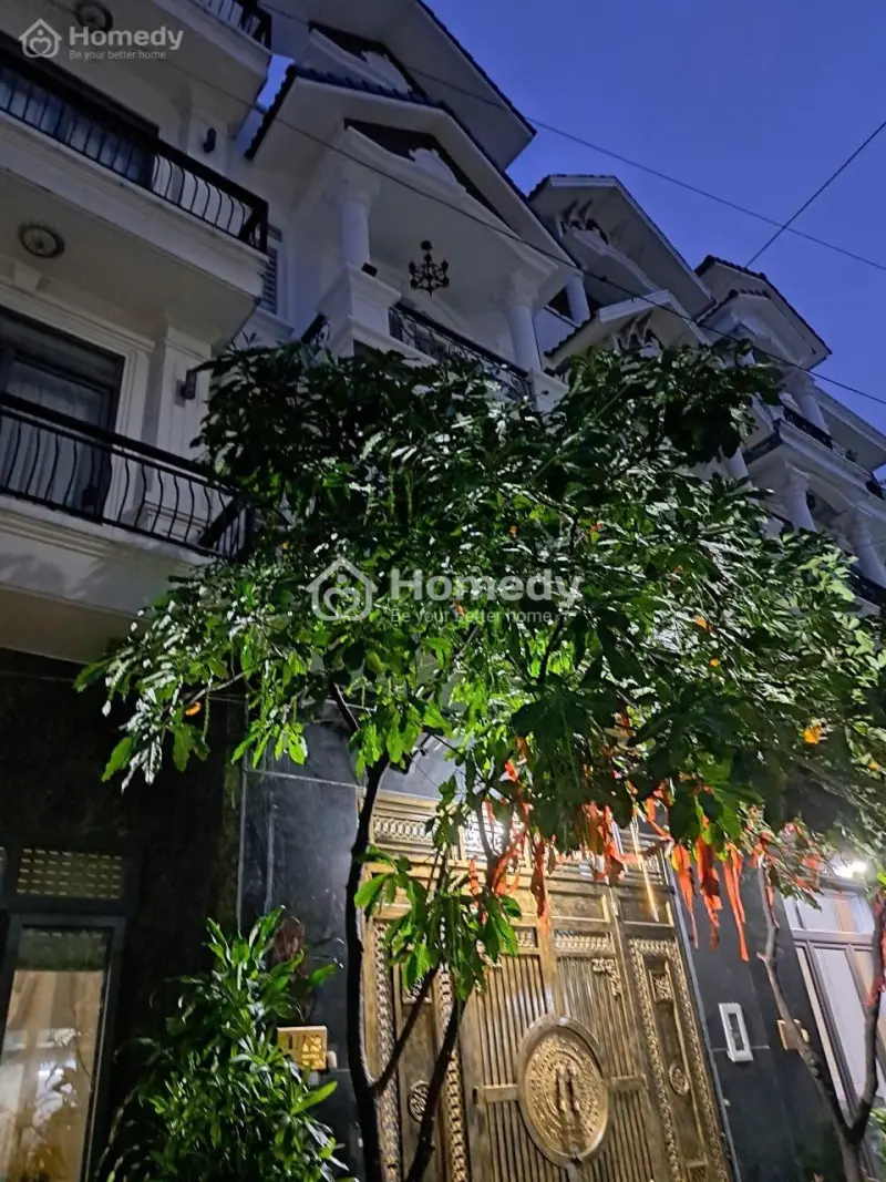 6065555 ảnh đại diện 1