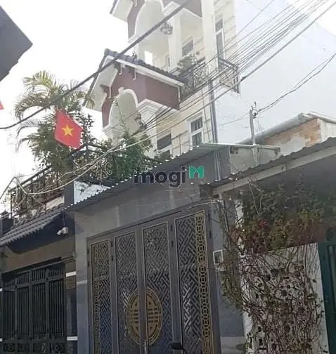 6065476 ảnh đại diện 1