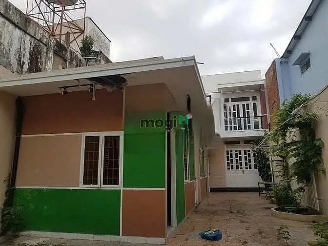 6065481 ảnh đại diện 1