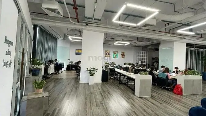 6065604 ảnh đại diện 1