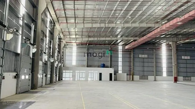 6065709 ảnh đại diện 1