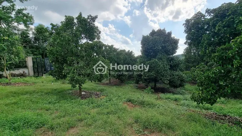 6065683 ảnh đại diện 1