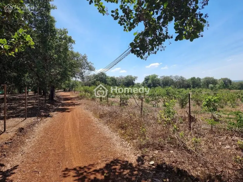 6065670 ảnh đại diện 1