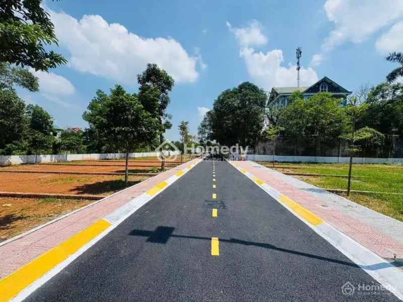 6065825 ảnh đại diện 1