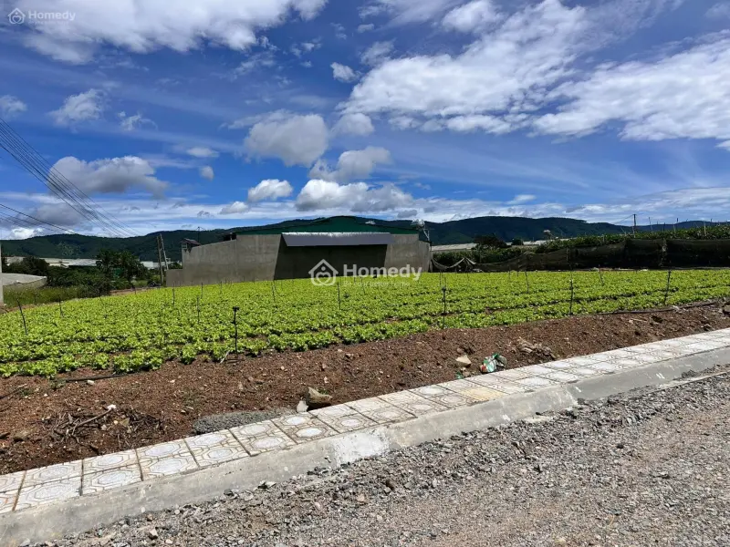 Cơ Hội Đầu Tư Hiếm Tại Đơn Dương – Đất Sổ Riêng 630 Triệu, Bao Công Chứng