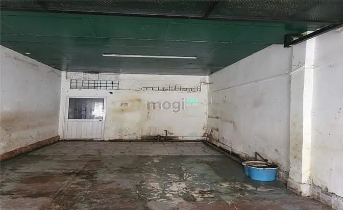 6065532 ảnh đại diện 1