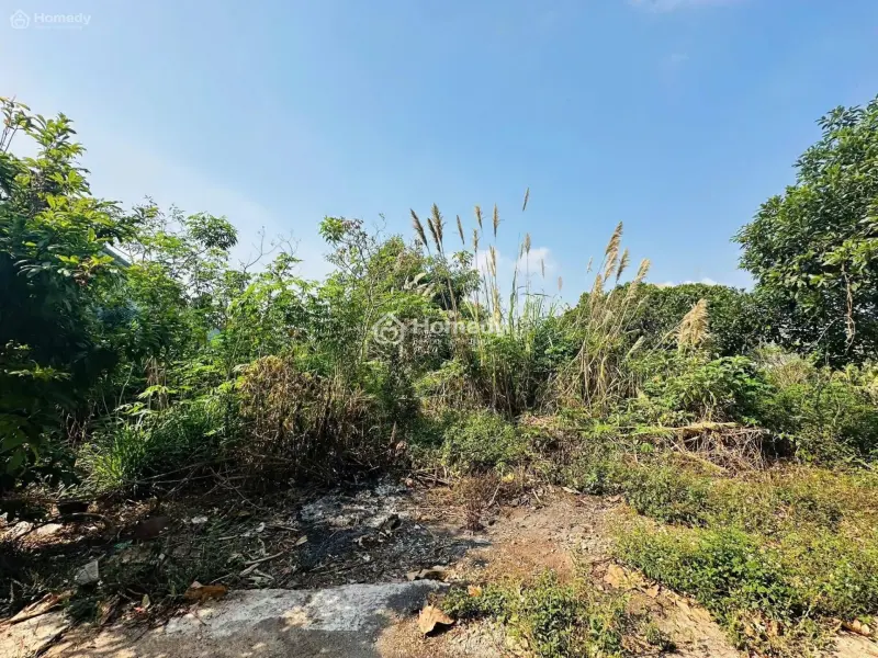 Chính Chủ Bán Đất Trung Tâm Giá Rẻ Tp. Pleiku, Khả Năng Sinh Lời Cao