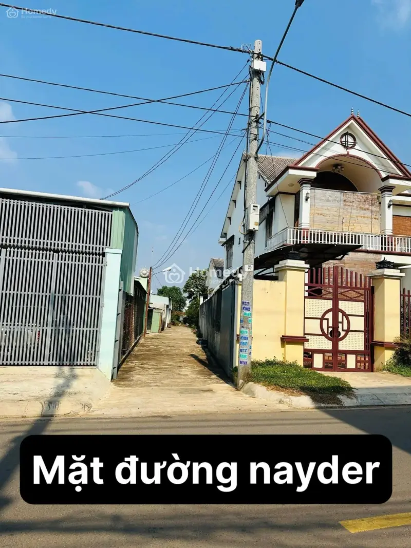 6065447 ảnh đại diện 1