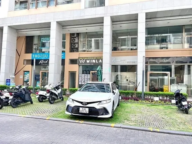 6065566 ảnh đại diện 1