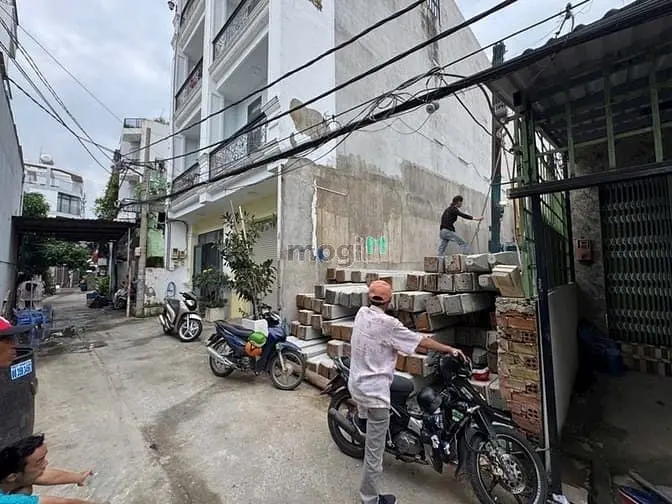 6065829 ảnh đại diện 1