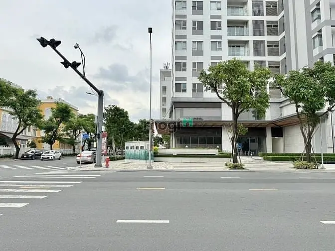 6065743 ảnh đại diện 1