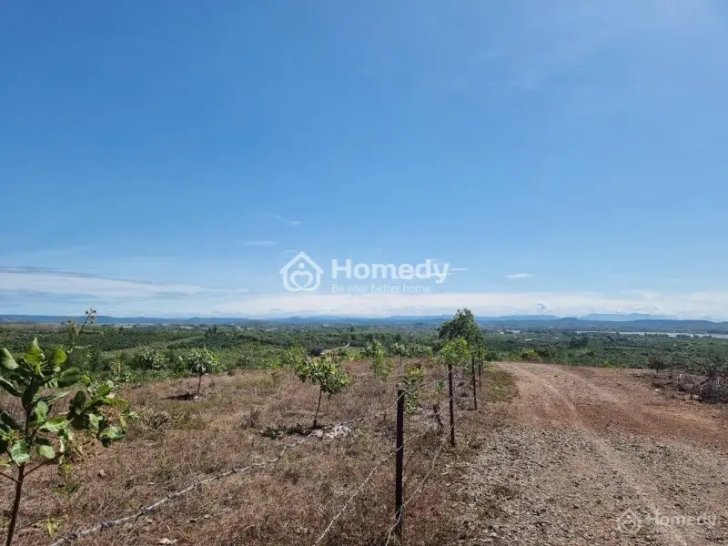 Chủ Gửi Đất Vườn 1516M2 Chỉ 800Tr – Gần Hồ Trị An, Đồng Nai