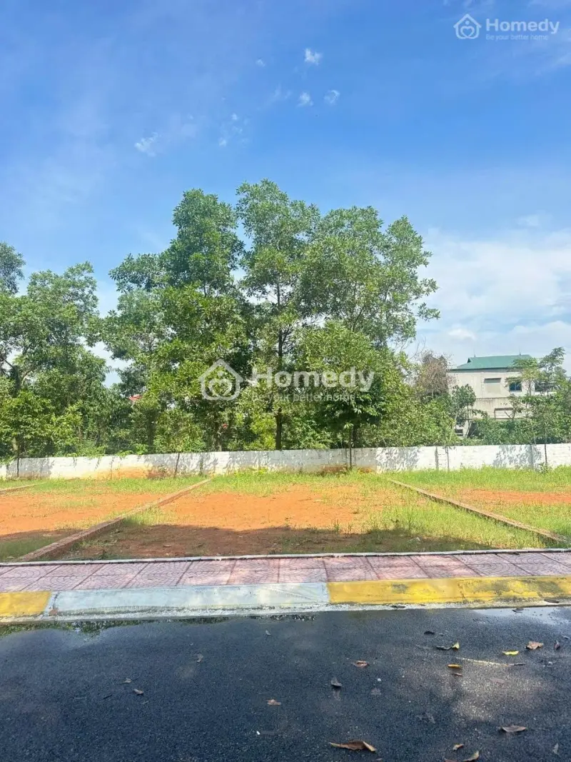 Chính Chủ Cắt Lỗ Lô 103M2, Full Thổ Cư, Mặt Tiền 9M