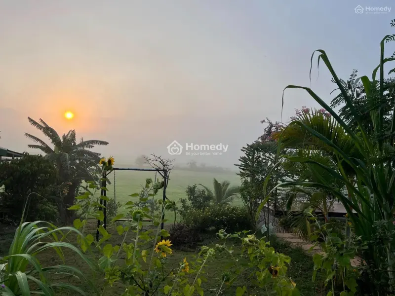 Đất Vườn 400Tr/1000M2 Ngay La Ngà - Định Quán - Đồng Nai