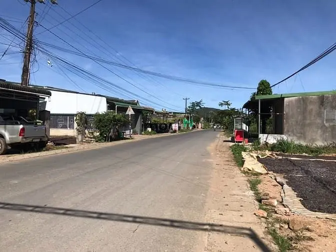 6065913 ảnh đại diện 1