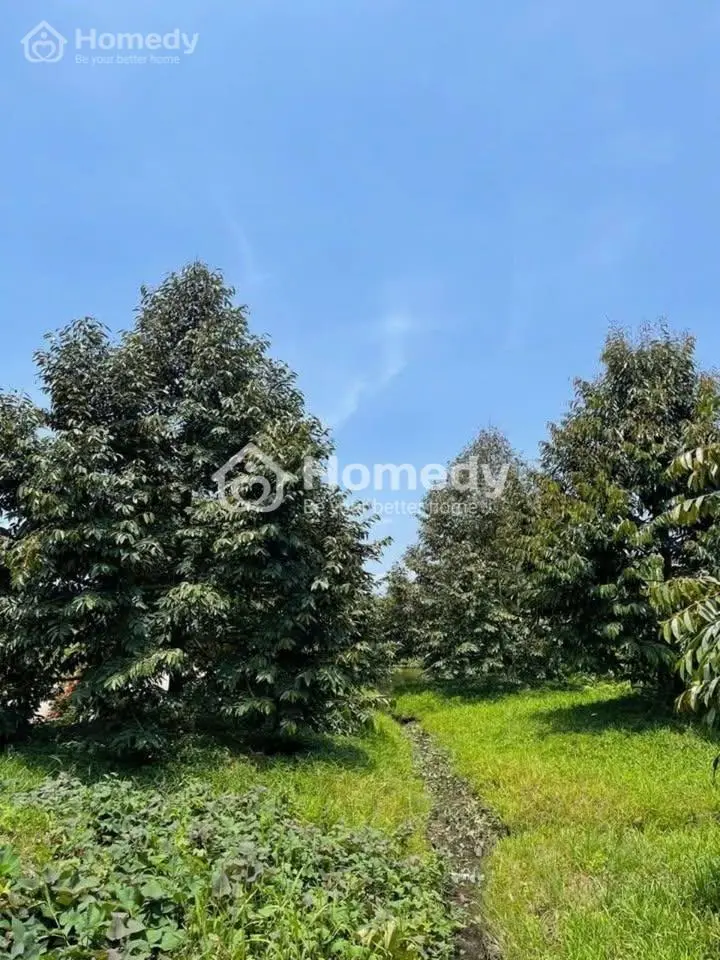 Chủ Gửi Bán Mảnh Đất Vườn Có Sẵn Nhà Thô Ngày Định Quán - Đồng Nai Chỉ 700Tr/2000M2