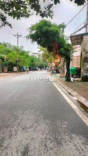 6066276 ảnh đại diện 1