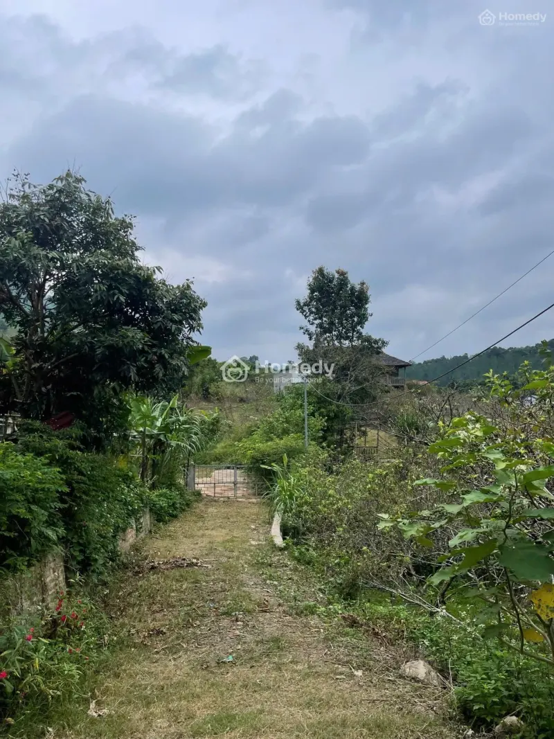 Nhà Có Ngay, Sẵn Ao Mà Lại Gần Các Điể Du Lịch Như: Đồi Cỏ Hồng, Cầu Kính, Thác Dải Yếm,..