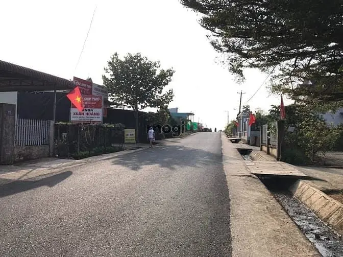 6 Sào Thổ Cư Bảo Lộc, Đường Nhựa Đẹp, Giá Rẻ