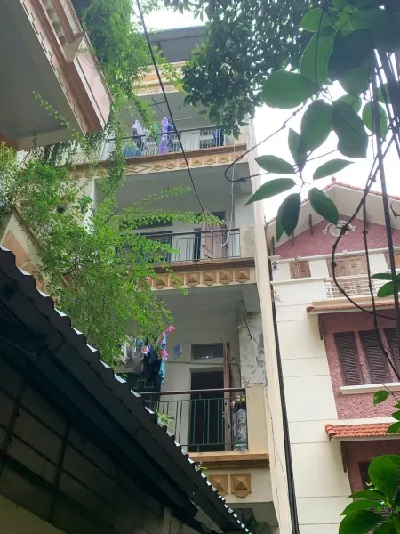 6066032 ảnh đại diện 1