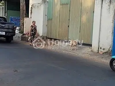 Bán Bđs Giá Tốt, Thích Hợp Đầu Tư Lâu Dài, Gần Cầu Vượt Mỹ Phước Tâm Vạn