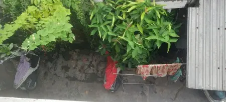 Cho Thuê Phòng Trọ Quận 3! Gò Vấp Đại Học Văn Lang, Căn Hộ Vin Ba Son, Aqua 2!