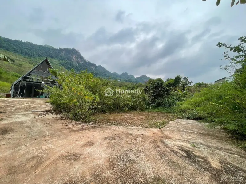 Nhà Có Ngay, Sẵn Ao Mà Lại Gần Các Điể Du Lịch Như: Đồi Cỏ Hồng, Cầu Kính, Thác Dải Yếm,..