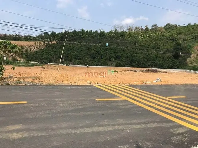 6 Sào Thổ Cư Bảo Lộc, Đường Nhựa Đẹp, Giá Rẻ